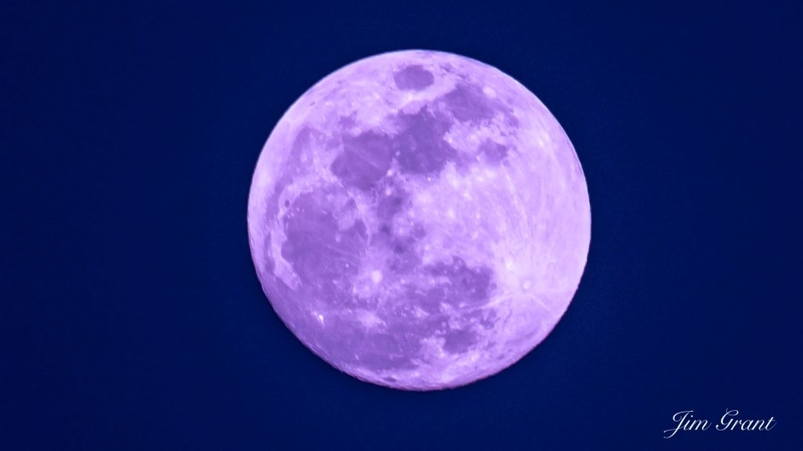 ‘Pink micromoon' hovers over San Diego