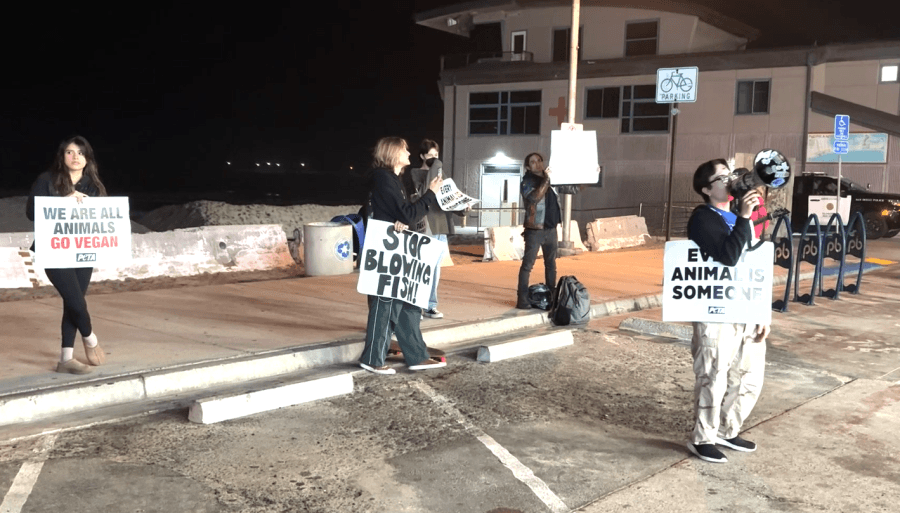 PB Shore Club is facing protests over its goldfish races. Will they end?