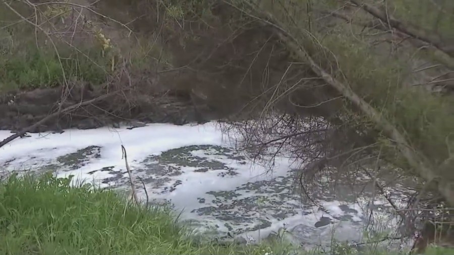 Imperial Beach leaders call for action on Tijuana River sewage crisis
