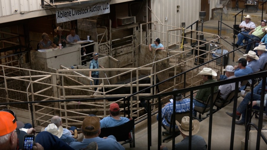 ‘What comes from the heart touches the heart': Livestock donated to raise funds for family of James Cox