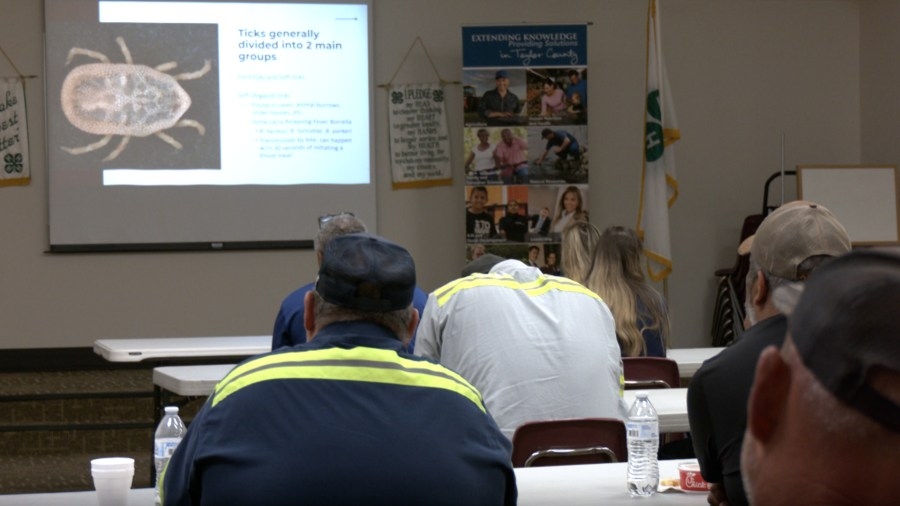 Mosquitoes & more: Big Country workshop focuses on disease-carrying pests