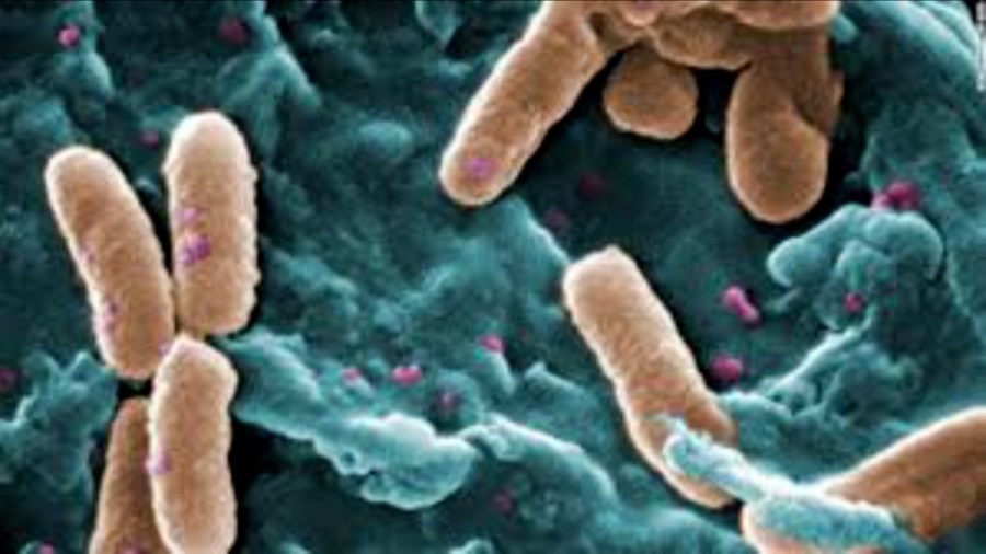 La. proposed bill to criminalize ‘intentional exposure' to STDs, advances