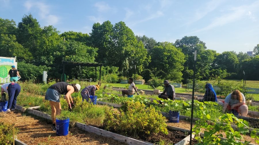 Free Farmer Training Program supporting new, seasoned growers