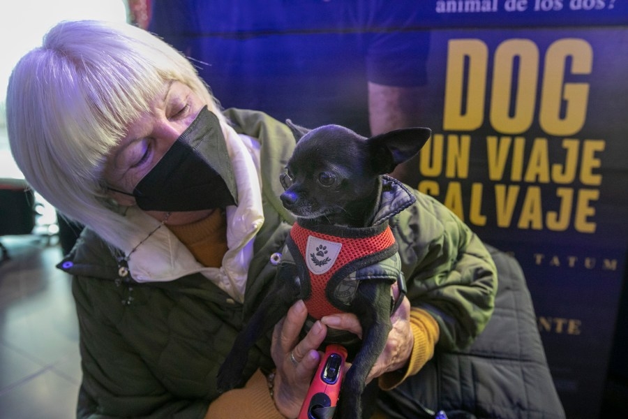 ‘DOG' movie, benefit for NW Louisiana no-kill shelter