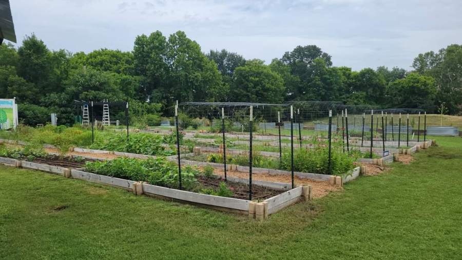 Nourishing Our Roots: Live music, food, plant seeds and more