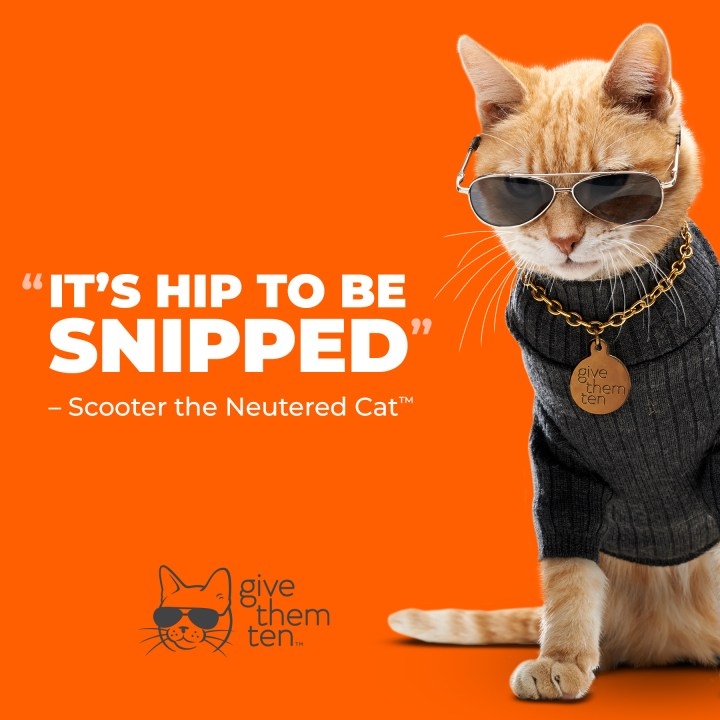 Robinson's Rescue celebrates 100,000 spay & neuter surgeries with event