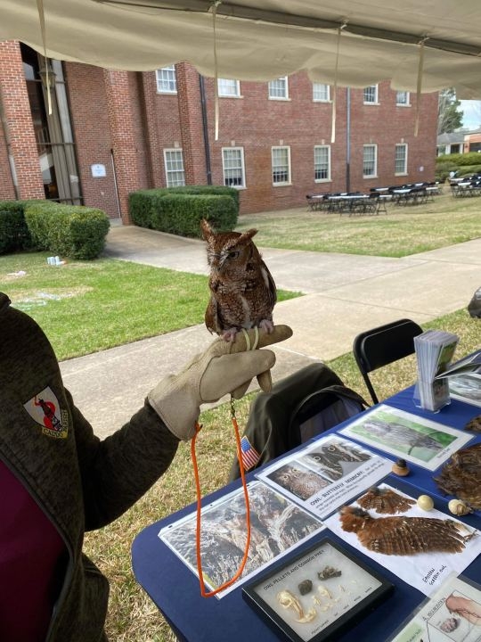 Centenary's Magale Fest: free, art, music, book swap and more