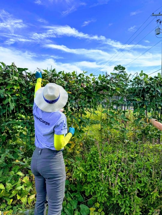 Dancing and dirt at Shreveport Green's Volunteer Day
