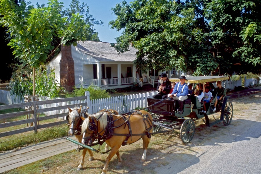 Operate a horse-drawn carriage at Historic Washington State Park