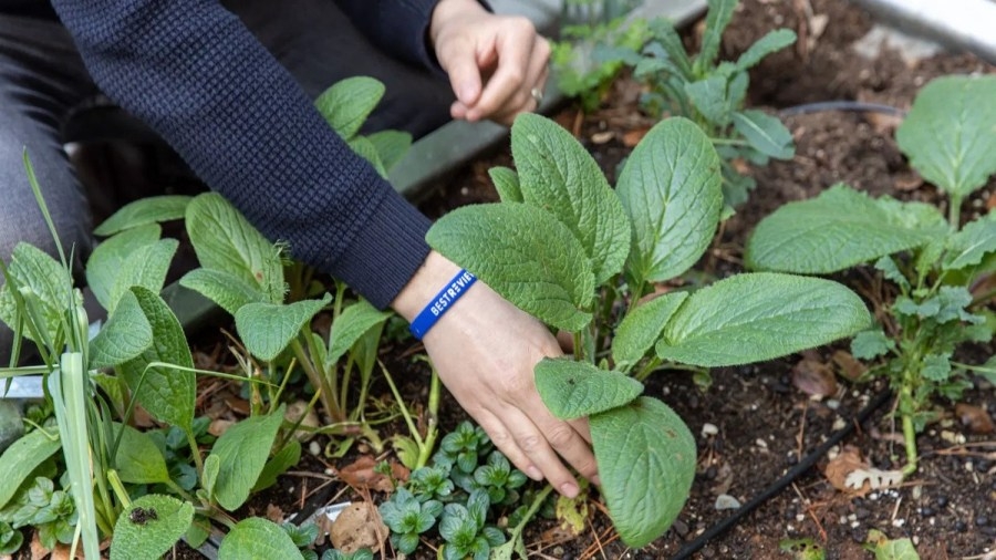 15th Annual Horticulture Conference coming to Texarkana