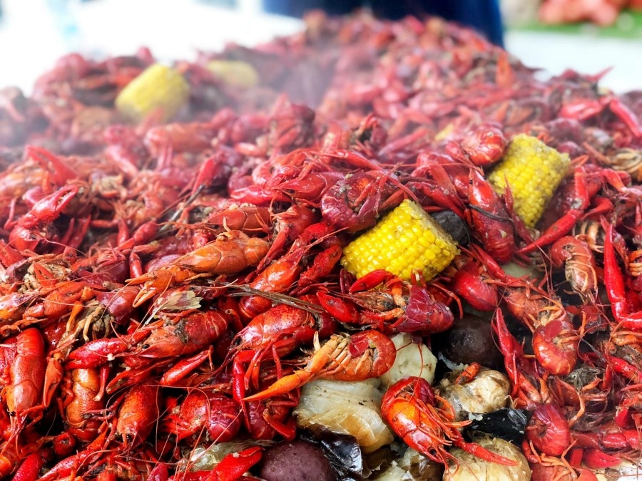 Krewe of Gemini serving boiled crawfish for membership drive in Bossier City