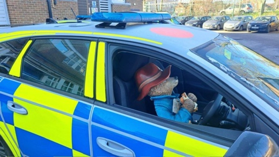 Arrests made in drunken assault, theft of beloved Paddington Bear statue