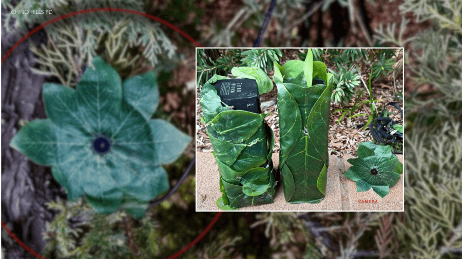 If you find these in your front yard, thieves aren't far behind