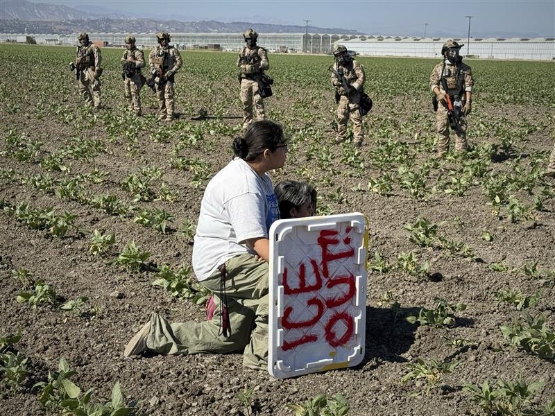 Federal officials announce 200 workers arrested in Carpinteria, Camarillo farm raids