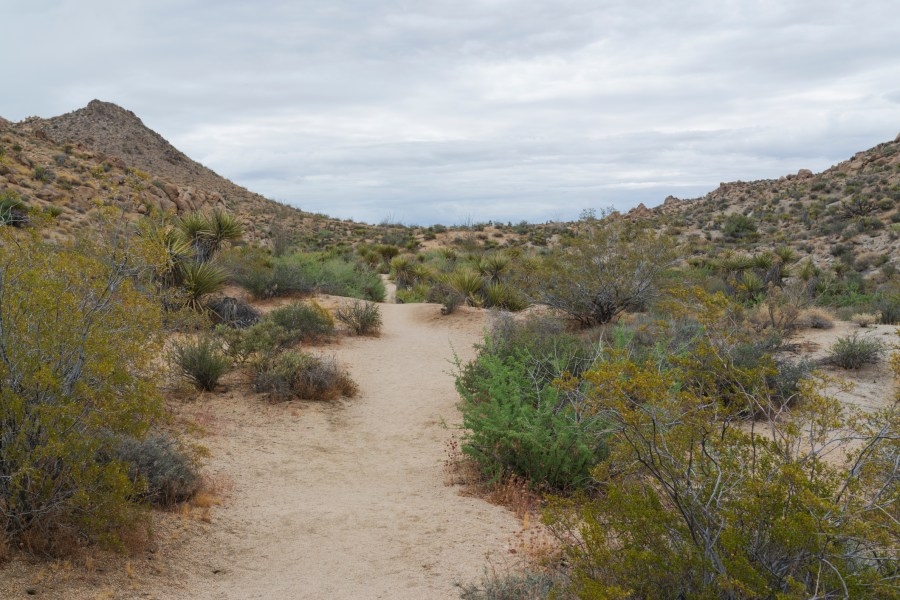 Missing elderly Southern California woman found dead near remote highway