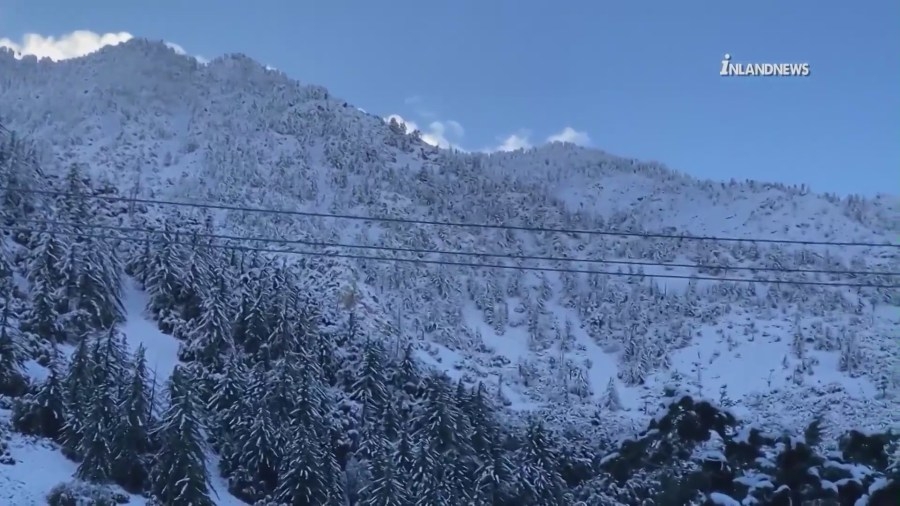 Southern California hiker, 40, her dog airlifted off icy Mt. Baldy trail