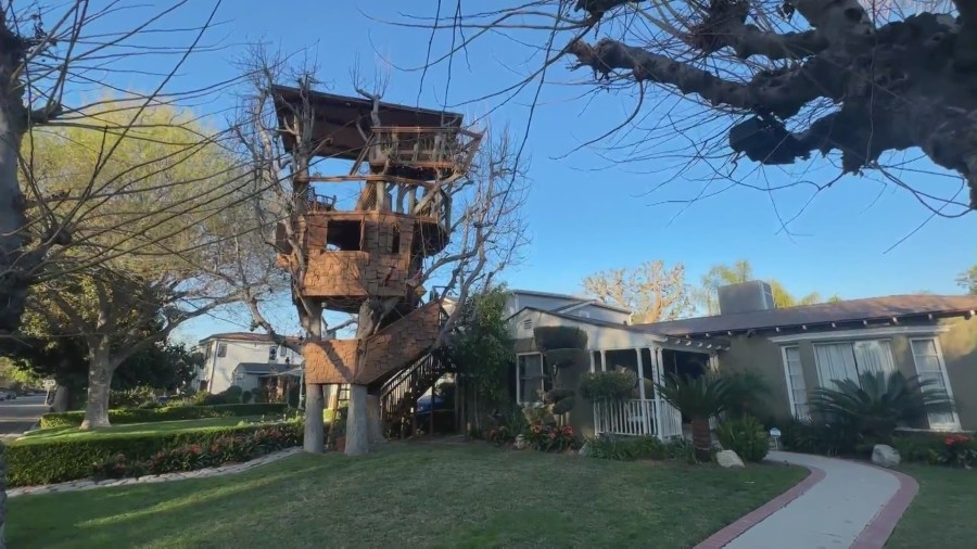 Los Angeles homeowner says City is making him tear down massive treehouse