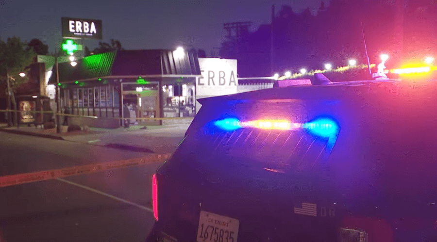 Dispensary security guard opens fire at suspected burglars in Los Angeles