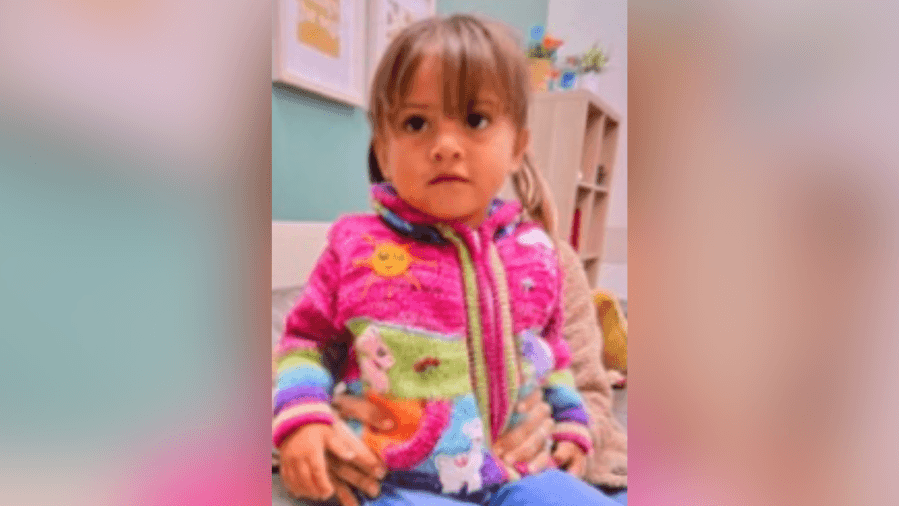 3-year-old girl missing in connection with L.A. County custody case