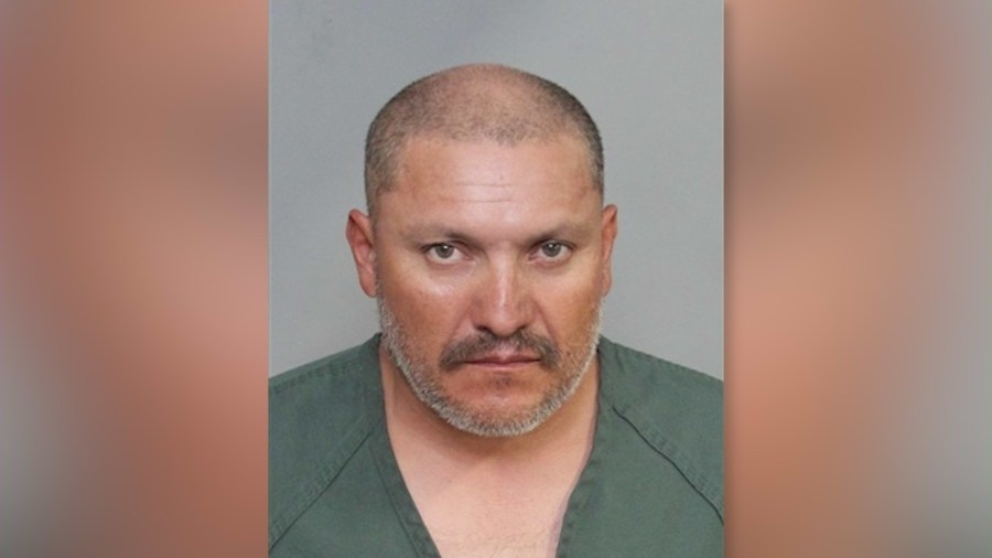 Accused ‘serial cat killer' charged in violent crime spree
