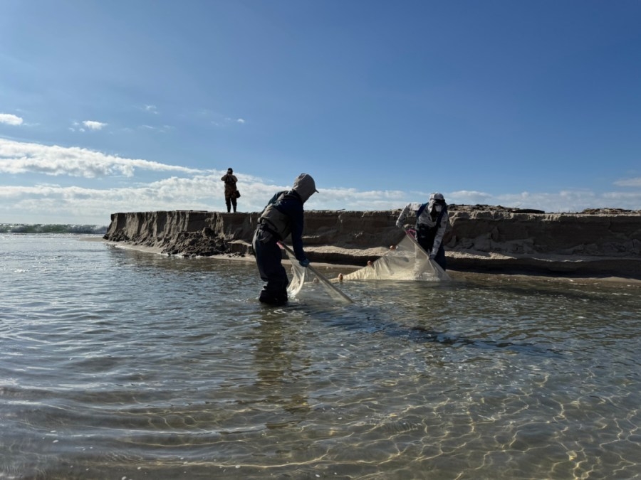 Hundreds of endangered fish rescued from bodies of water damaged by L.A. fires