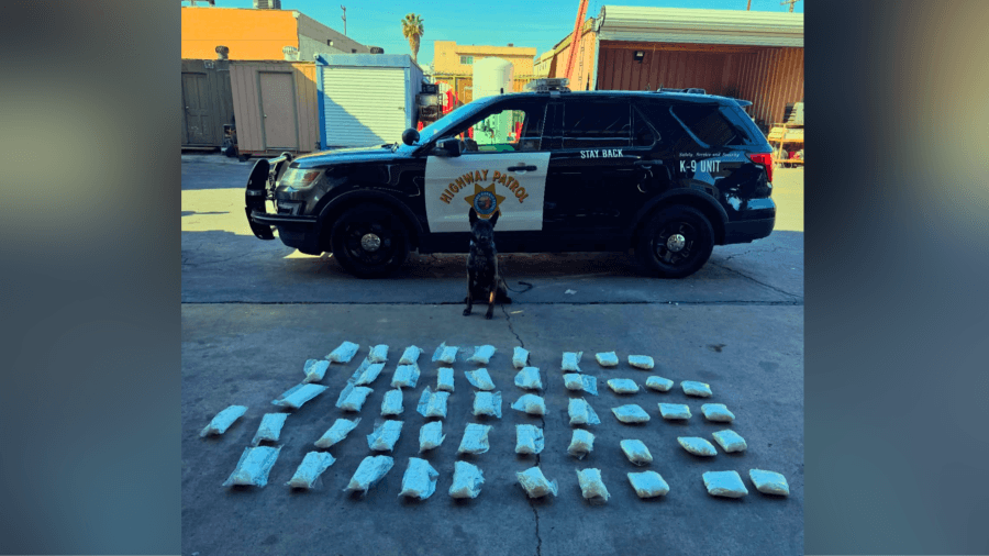 Los Angeles traffic stop leads to major arrest after K-9 finds 50 pounds of meth