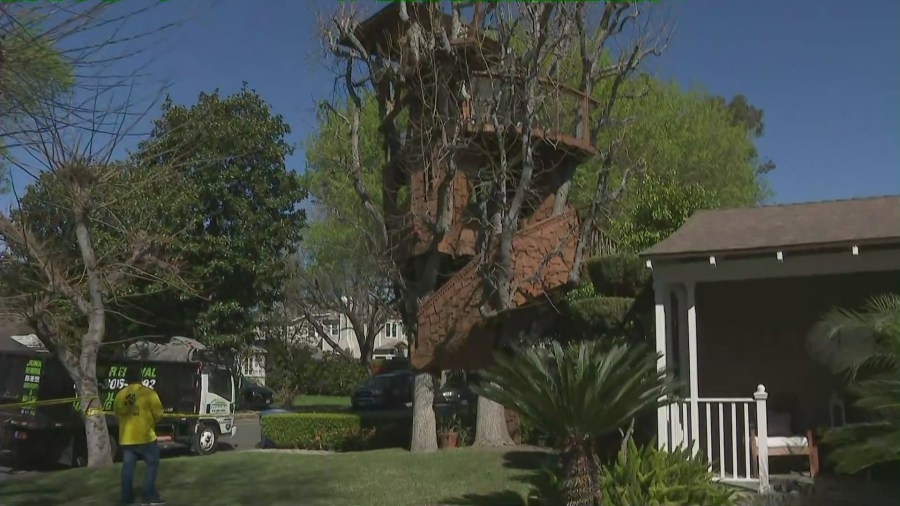 Demolition of The Simpsons-inspired treehouse in front of L.A. home begins