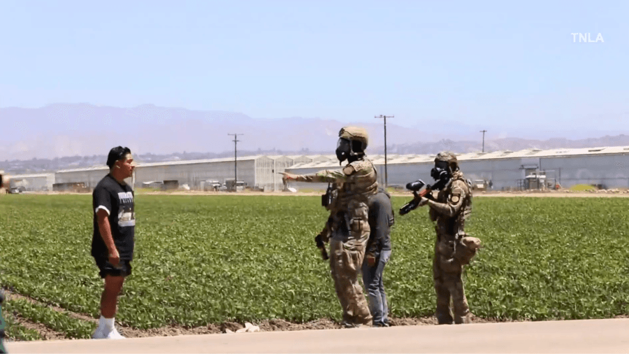Newsom, federal officials clash after immigration raids at cannabis farms in Southern California