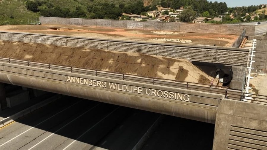 Letters go up on world's largest wildlife crossing over 101 Freeway