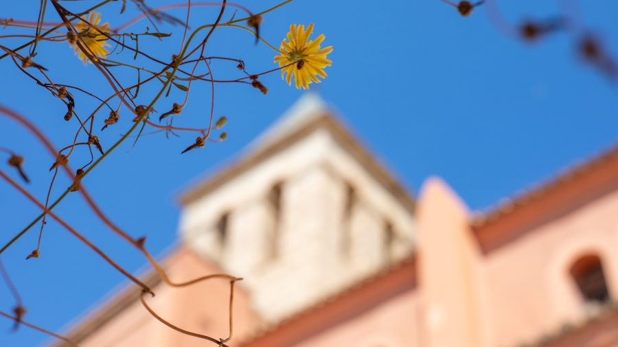 Churchgoer attacked by transient with stick in Southern California: SBSD