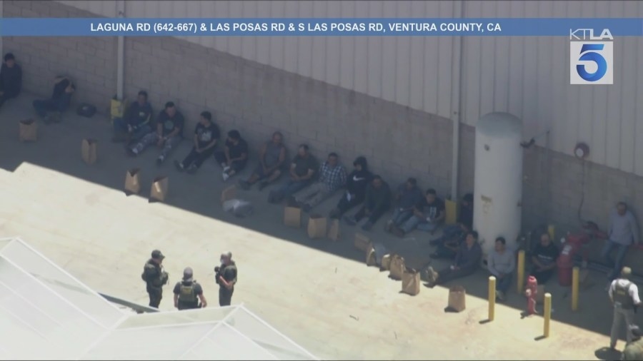 361 arrested in immigration sweeps at 2 Southern California cannabis farms, feds say
