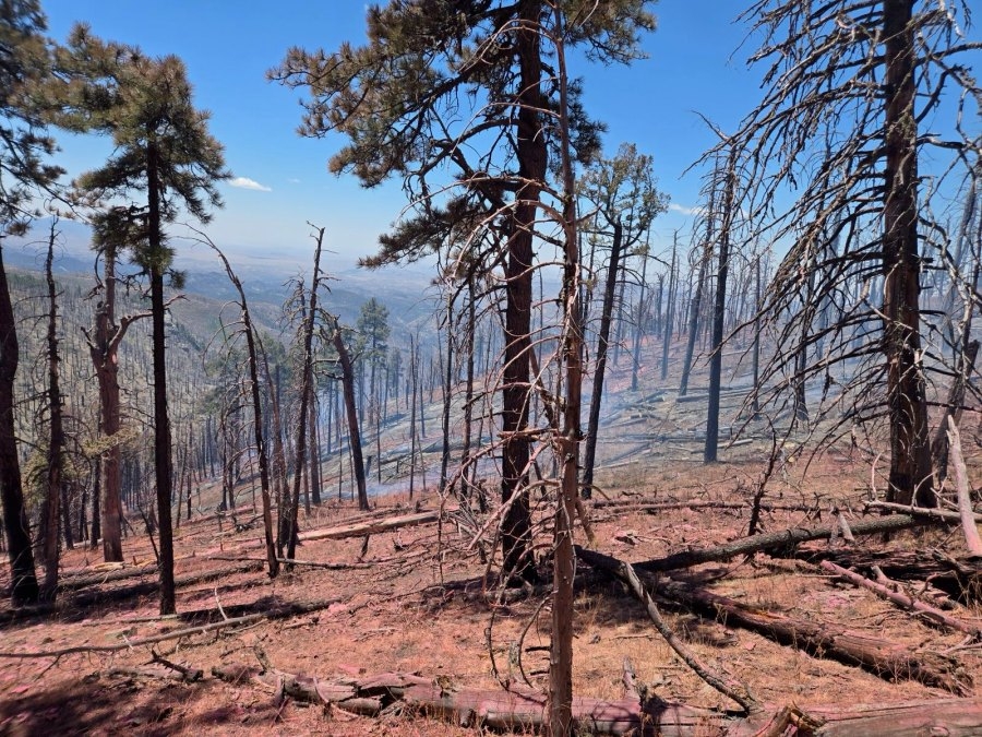 Crews nearing containment on 3 fires in Gila National Forest
