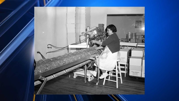 New exhibit will focus on workers at Mesilla Valley's Stahmann Farms