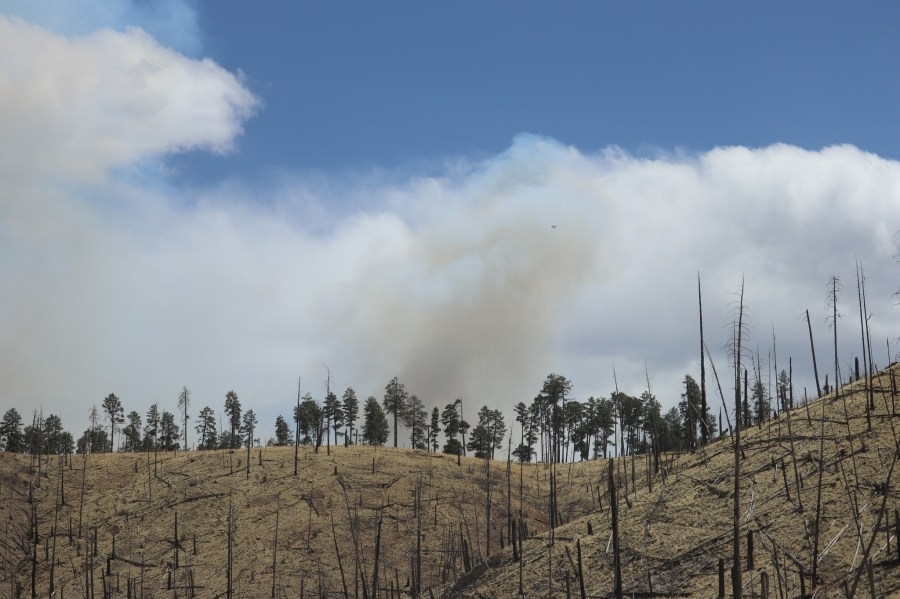 Iron Fire in Gila Wilderness at 77% containment