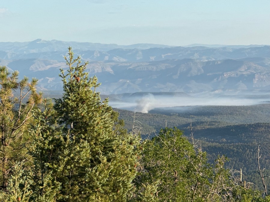NM Highway 15 closed due to 300-acre wildfire near Silver City