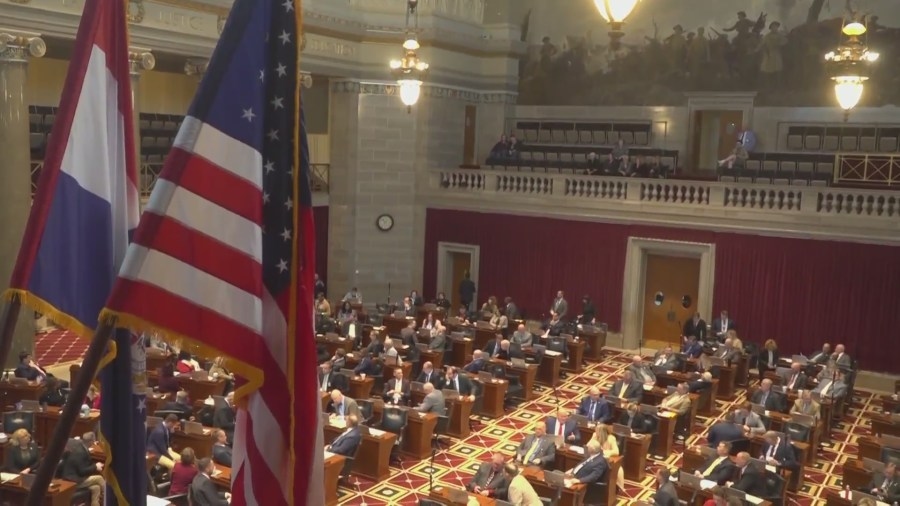 State Senator from St. Louis region pushes to ban DEI practices at Missouri colleges