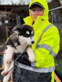 51 animals rescued from former licensed breeder