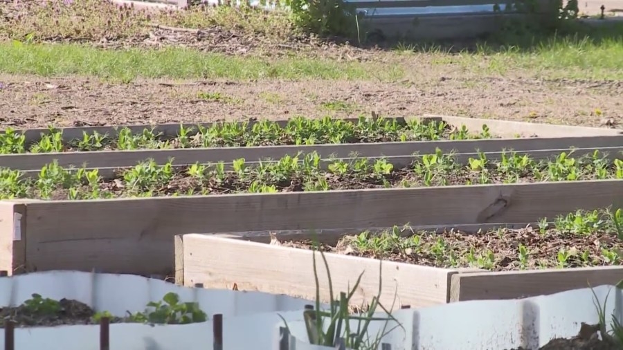 Sam Page pitches proposal to combat food insecurity after vetoing another