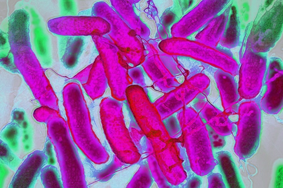 New lawsuits filed against farm linked to St. Louis County E. coli outbreak