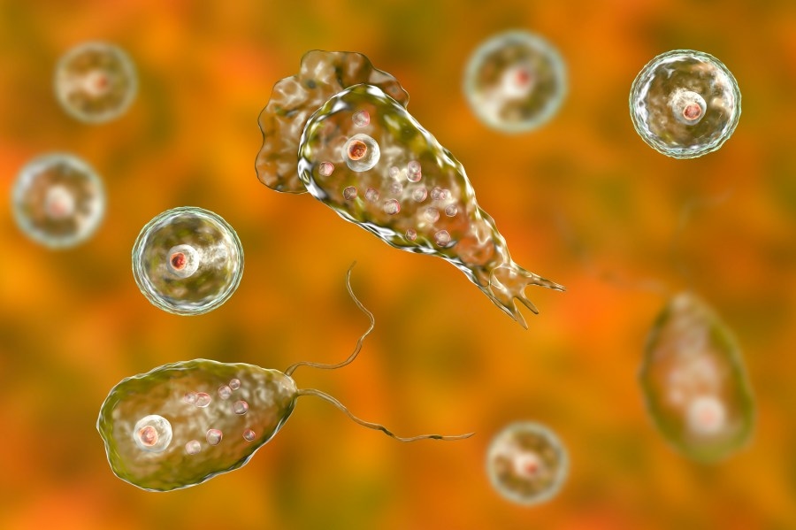 Missouri adult dies after ‘brain-eating' infection: Officials