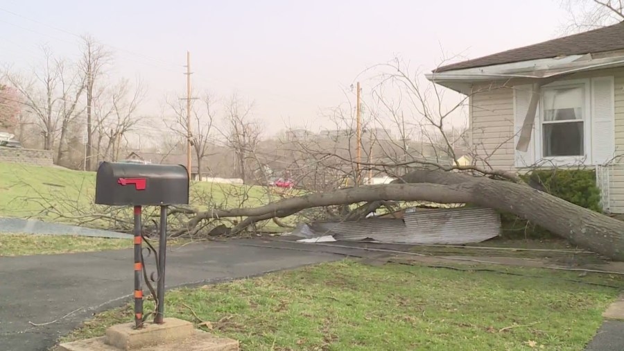 Storm recovery resources available for St. Louis, Jefferson County residents