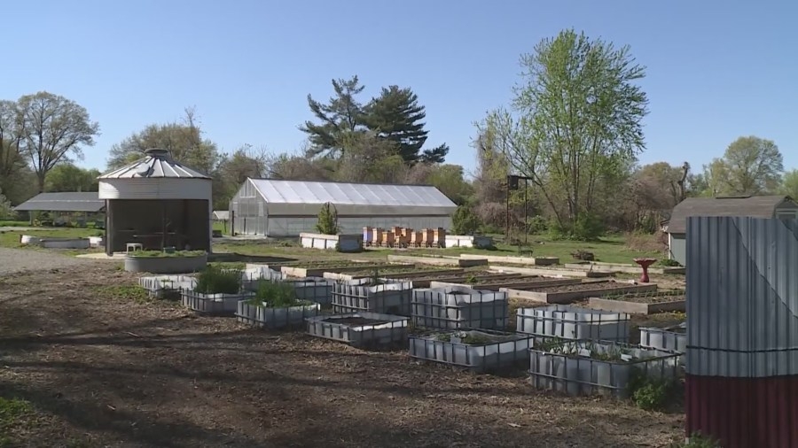 Trillion Food Market's grant funding sparks controversy