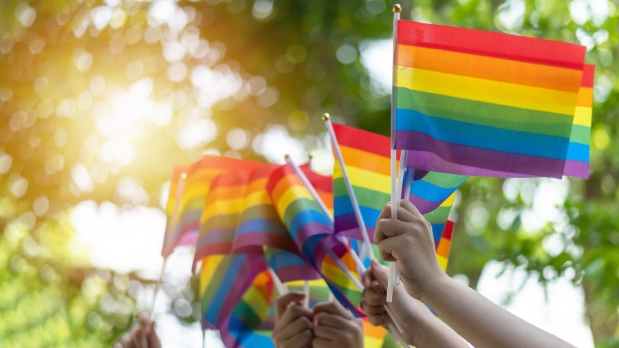 Local bar boycotts Anheuser-Busch, support Pride St. Louis