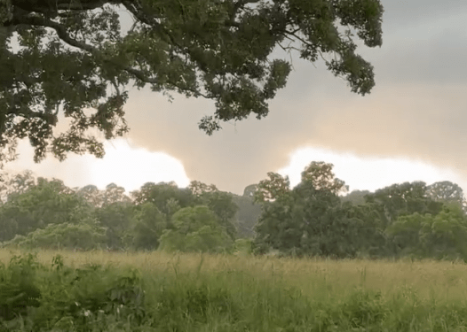 How many tornadoes has Missouri had this year so far?