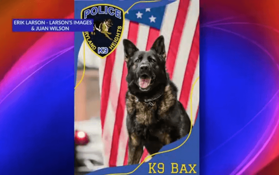 Maryland Heights PD honors retired K9 Bax with ‘Honor Walk'