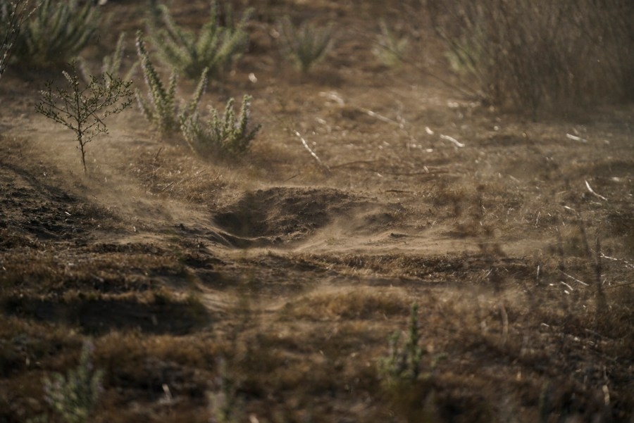 A fungus in Utah soil can lead to lung infections — but officials say there is ‘no reason to panic'