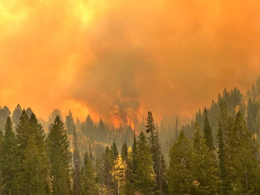 EXCLUSIVE: Logger reveals origins of Yellow Lake Fire
