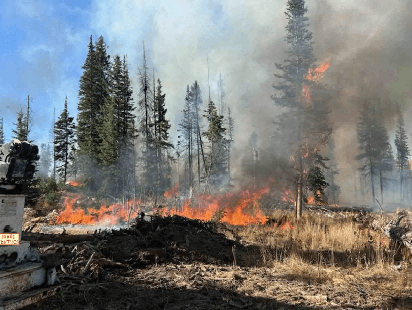 Logging company fined $16K for ‘Yellow Lake Fire'