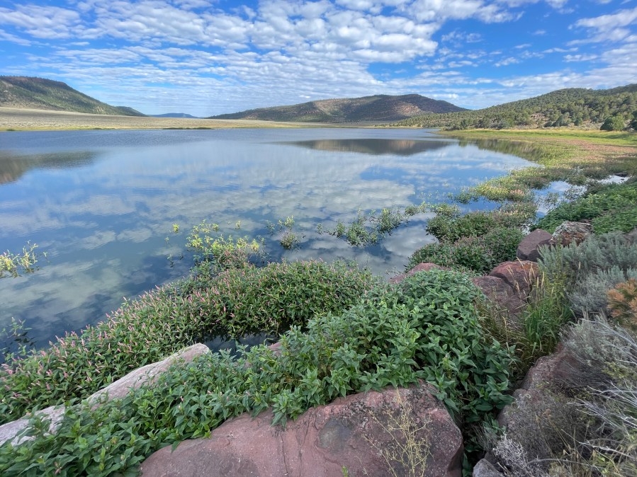 Low water levels lead to increased fishing limits at Crouse Reservoir