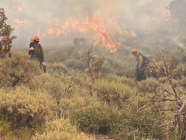 Monroe Canyon Fire grows over 11,000 acres in 24 hours, crosses 48,000 acres due to active winds